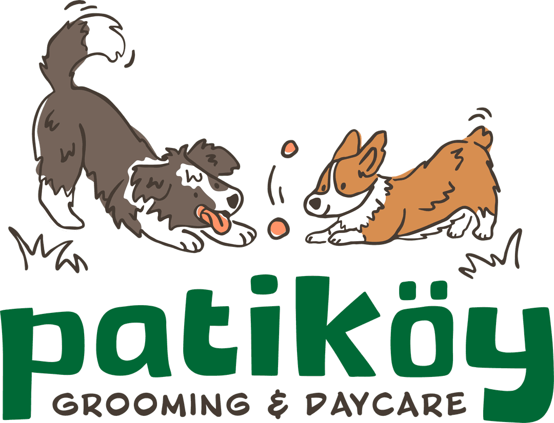 Primary logo